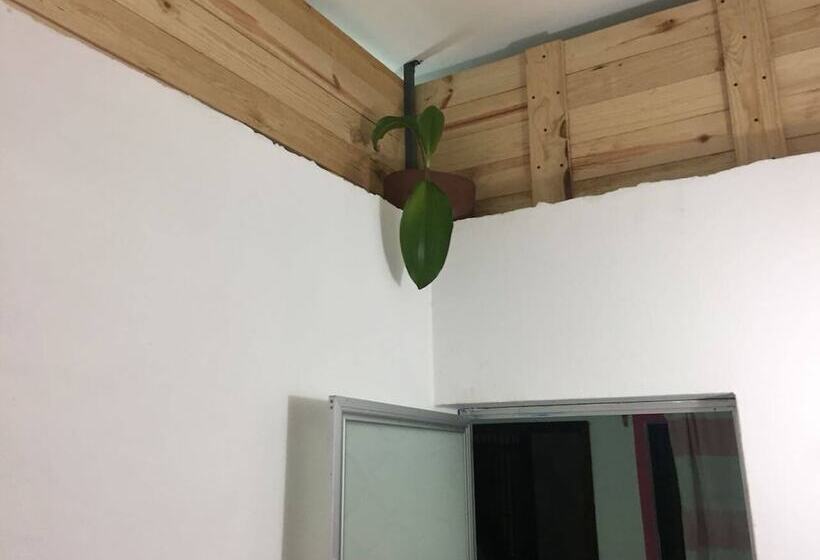 بنسيون El Coyote