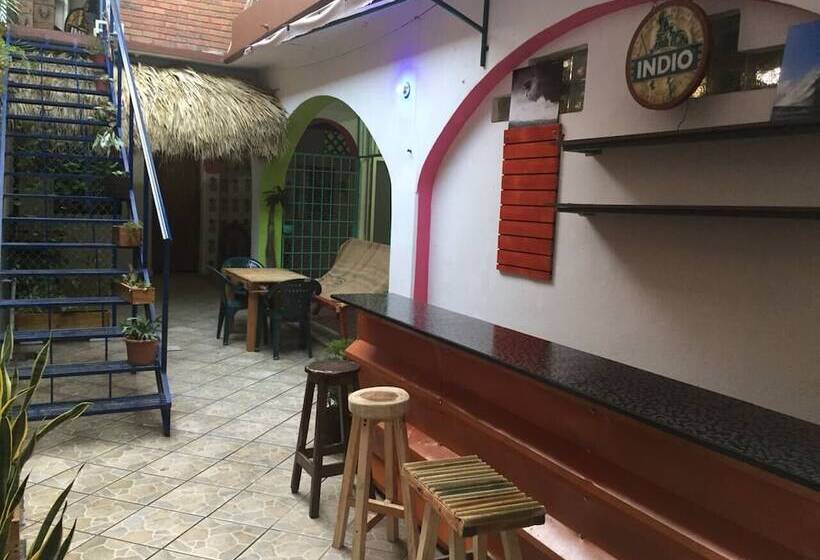 بنسيون El Coyote