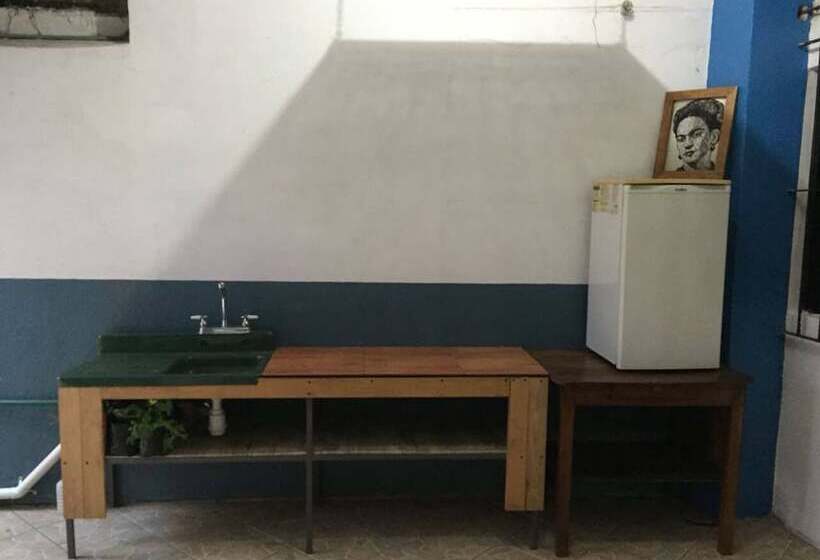 بنسيون El Coyote