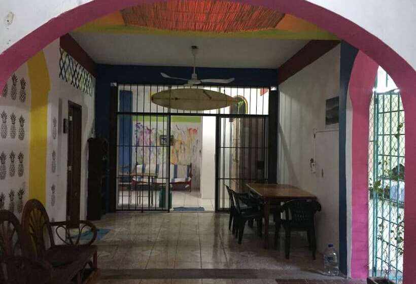 بنسيون El Coyote