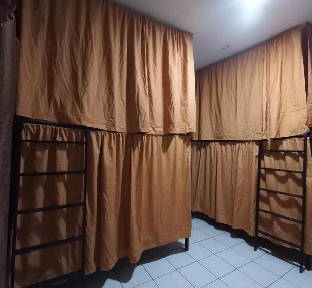 بنسيون El Coyote