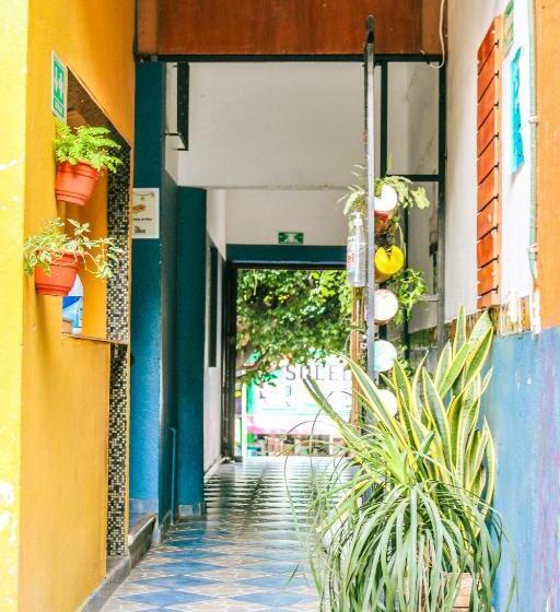 بنسيون El Coyote