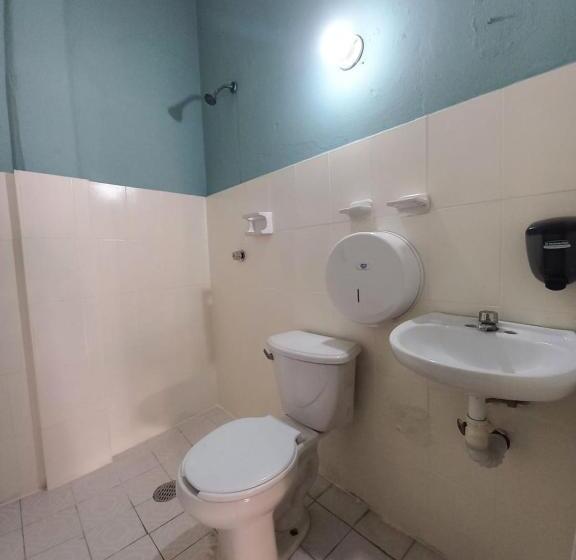 بنسيون El Coyote