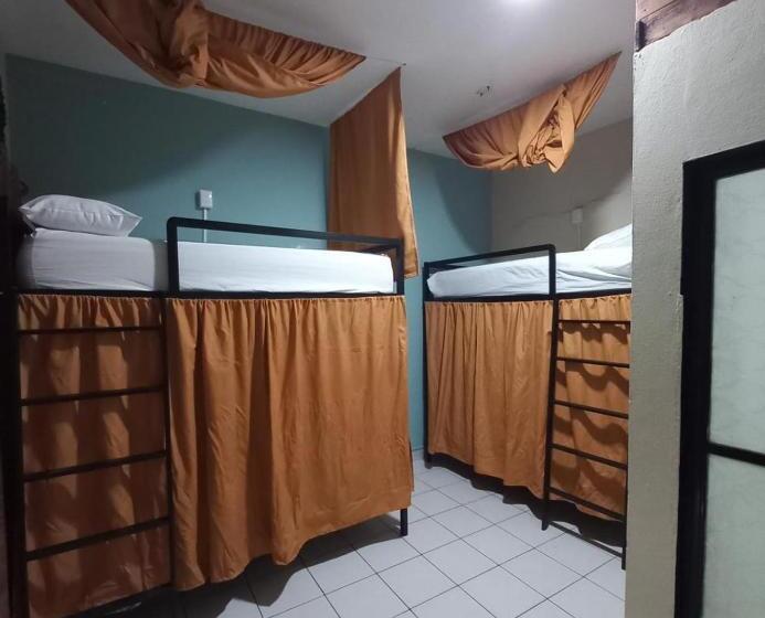 بنسيون El Coyote