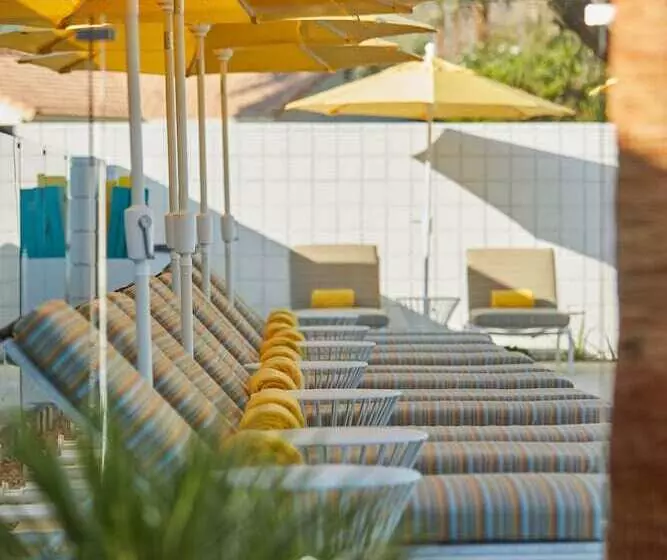 Twin Palms Resort   A Gay Men S Resort