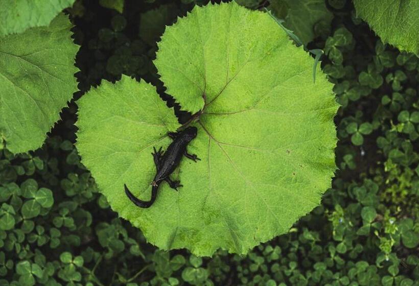 Hotel 一汁一菜の宿　ちゃぶダイニング Ichiju Issai No Yado Chabu Dining Unforgettable Farmstay Experience In Deep Kyoto