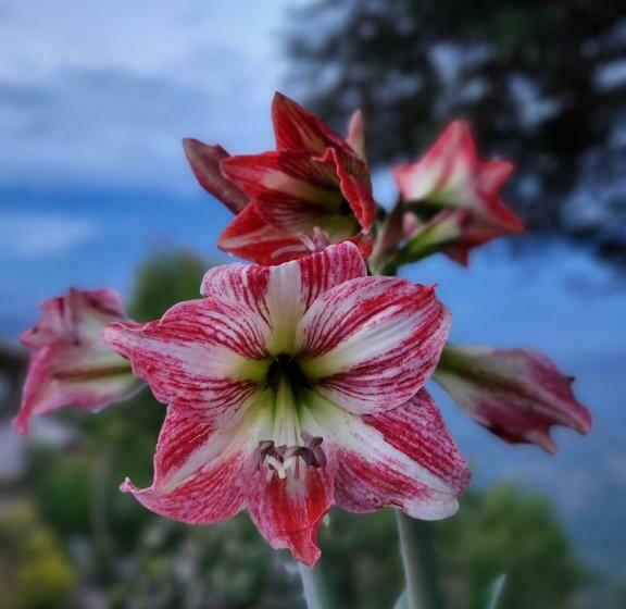 فندق Naldum Village Resort By The Edge Nagarkot