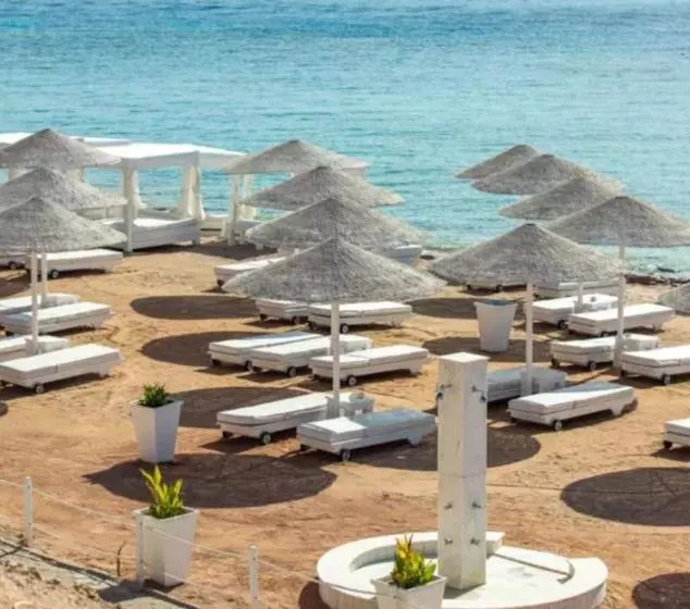 Luisa Dominal Coral Bey