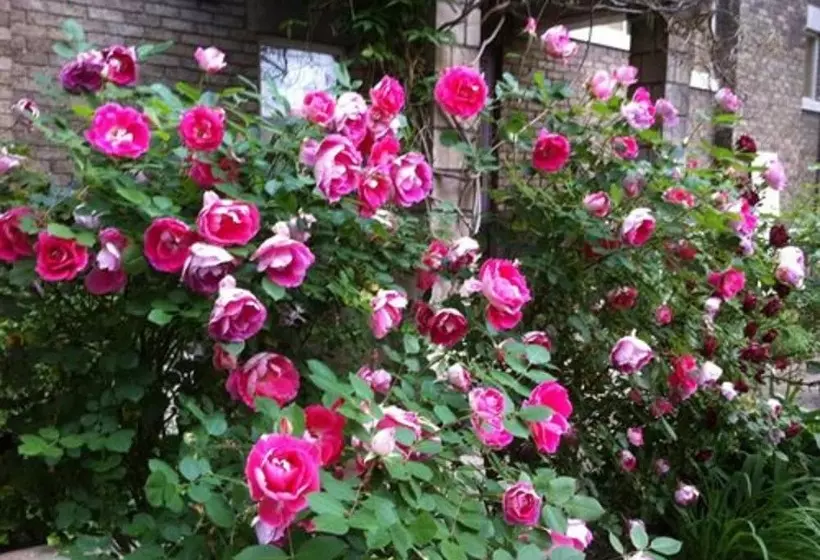 Nocleg ze śniadaniem Brass Pineapple Inn