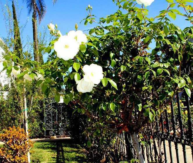 Cinema Suites Bed & Breakfast Hsr1919001050