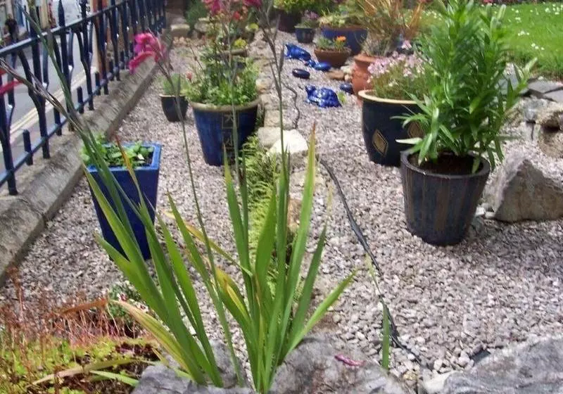 Bed and Breakfast Courtenay House