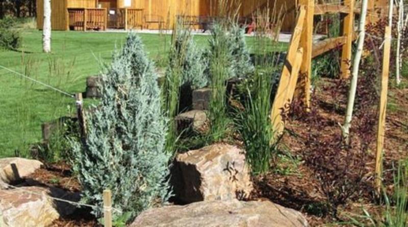 住宿加早餐  Eagle Fire Lodge & Cabins