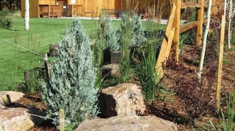 ベッドアンドブレックファースト Eagle Fire Lodge & Cabins