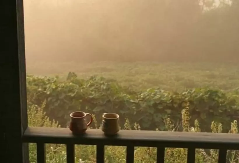 Bed and Breakfast Hermann Hill