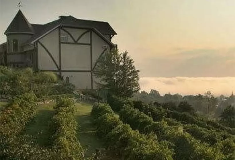 Bed and Breakfast Hermann Hill