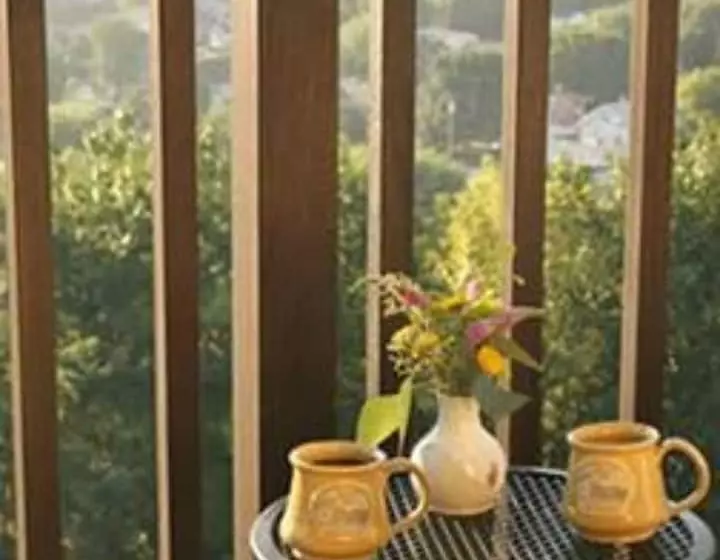 Bed and Breakfast Hermann Hill