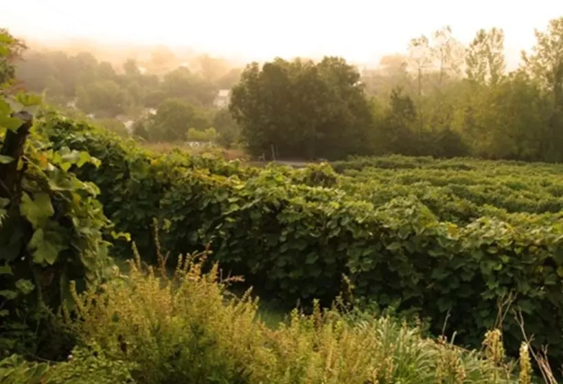 Bed and Breakfast Hermann Hill