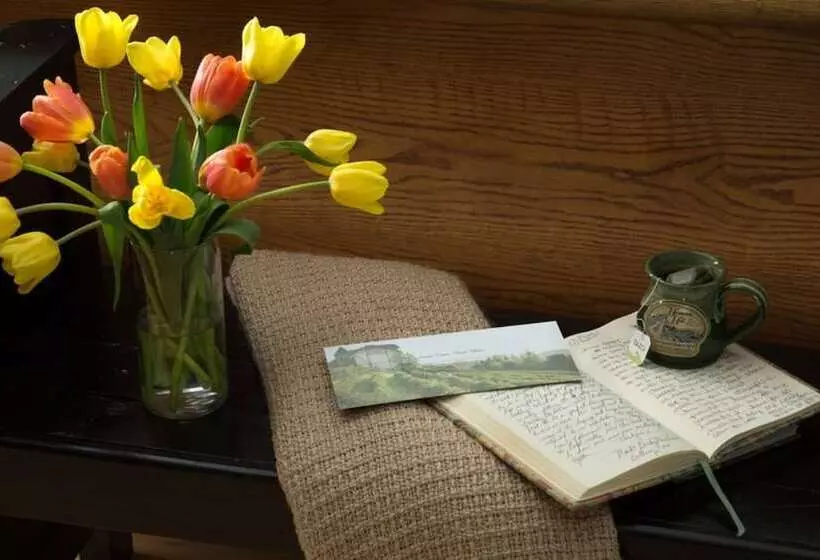 Bed and Breakfast Hermann Hill