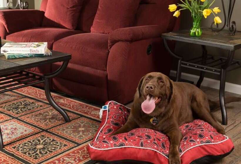 住宿加早餐 Hermann Hill