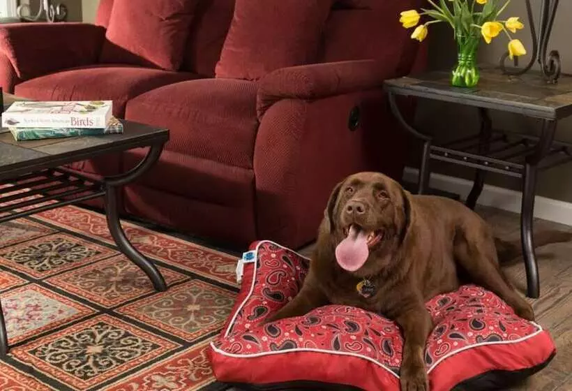 Bed and Breakfast Hermann Hill