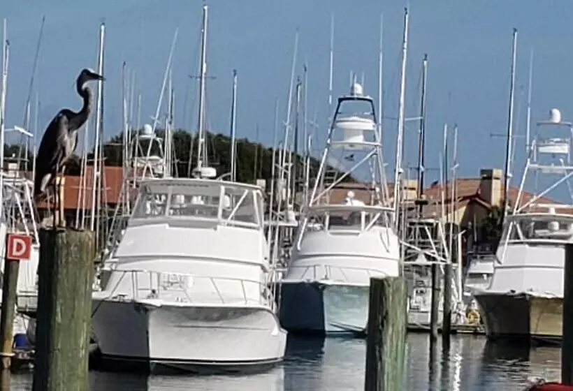 Aamiaismajoitus (B&B) Inn At Camachee Harbor