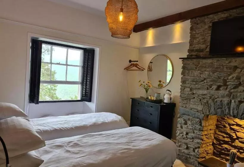 Bed and Breakfast The Hafod