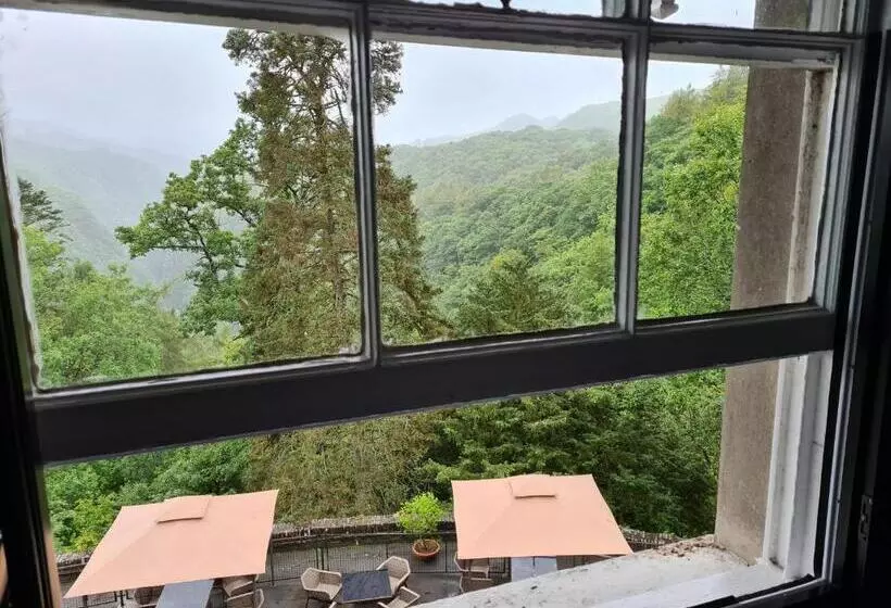 Bed and Breakfast The Hafod