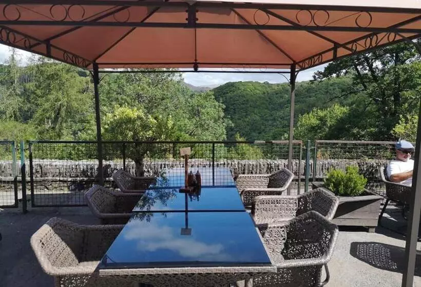 Bed and Breakfast The Hafod