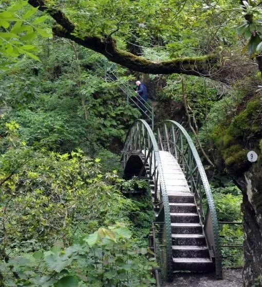 Bed and Breakfast The Hafod