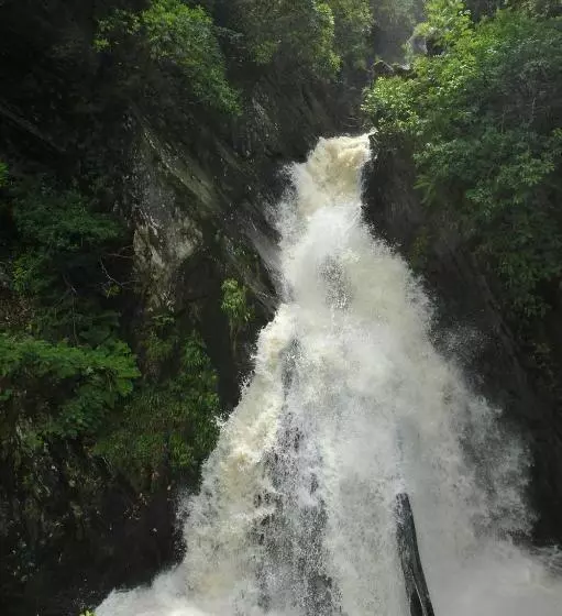 Bed and Breakfast The Hafod