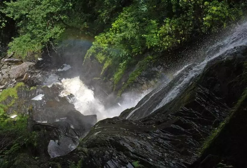 Bed and Breakfast The Hafod