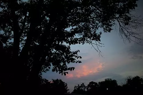 Bed and Breakfast The Hale House Inn