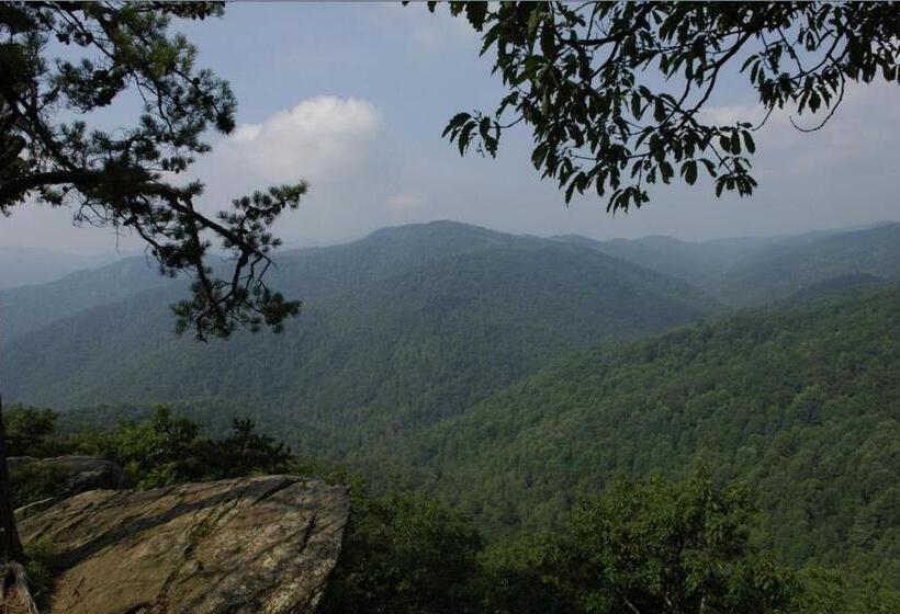 Black Forest Bed & Breakfast