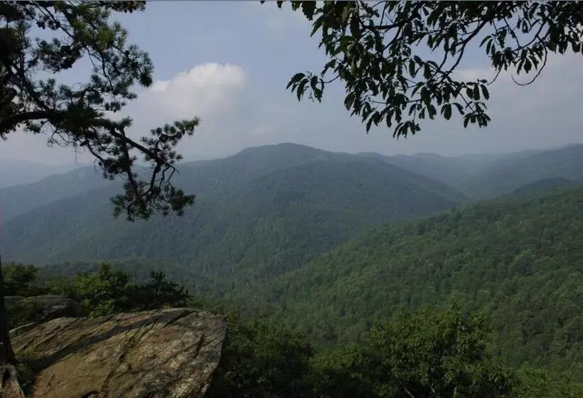 Black Forest Bed & Breakfast