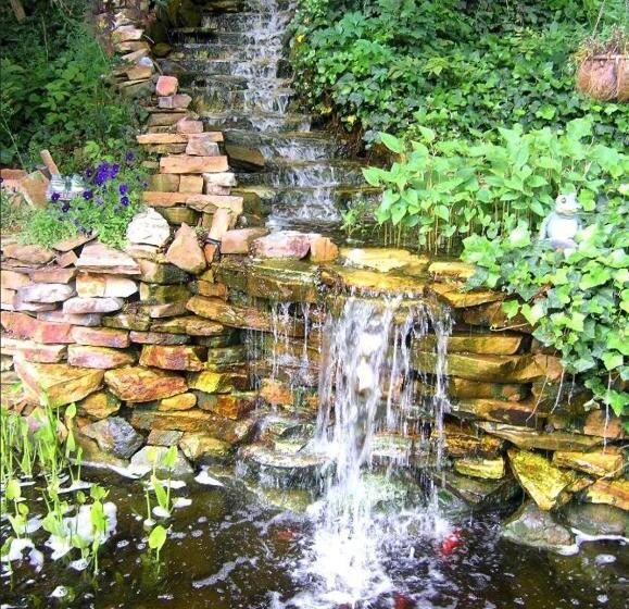 Black Forest Bed & Breakfast