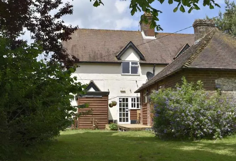 Bed and Breakfast Flossies B And B