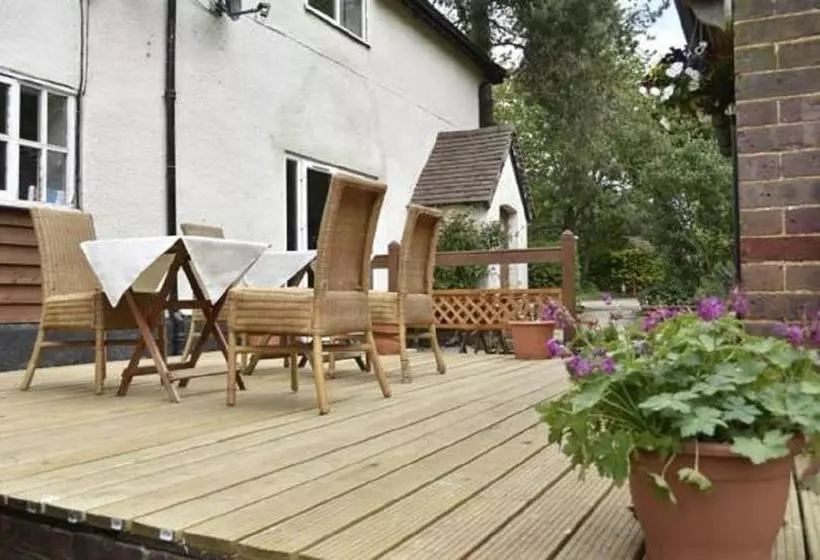 Bed and Breakfast Flossies B And B