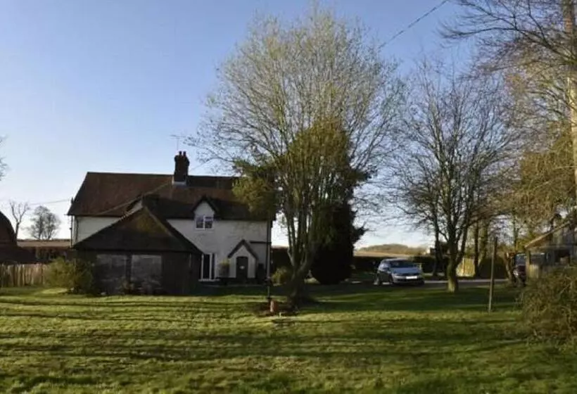 Bed and Breakfast Flossies B And B