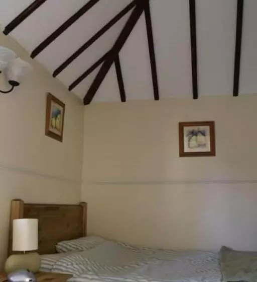 Bed and Breakfast Flossies B And B