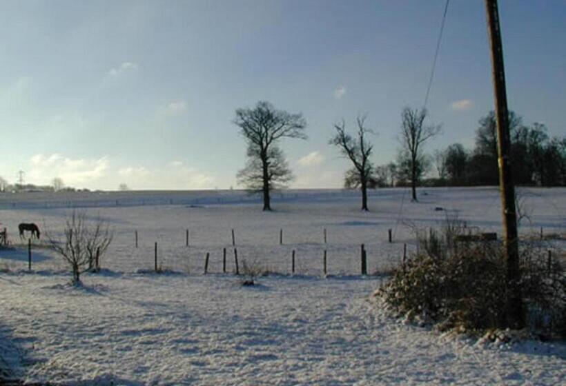 צימר Flossies B And B