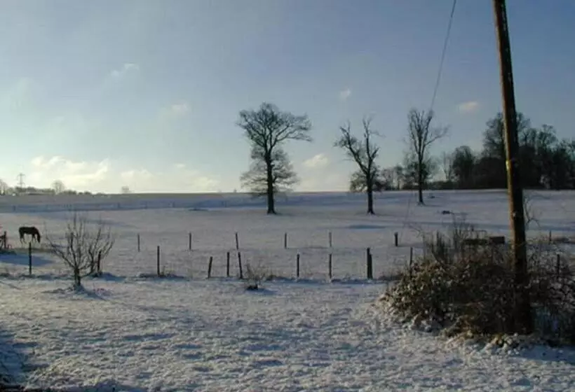 Bed and Breakfast Flossies B And B