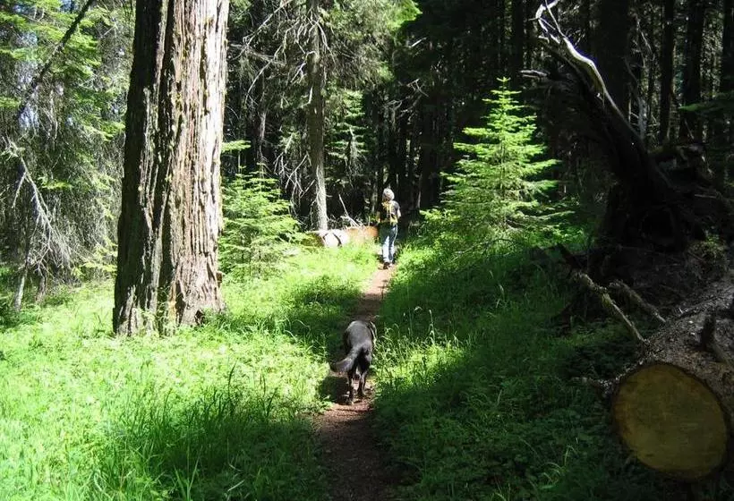 酒店 Green Springs Inn & Cabins