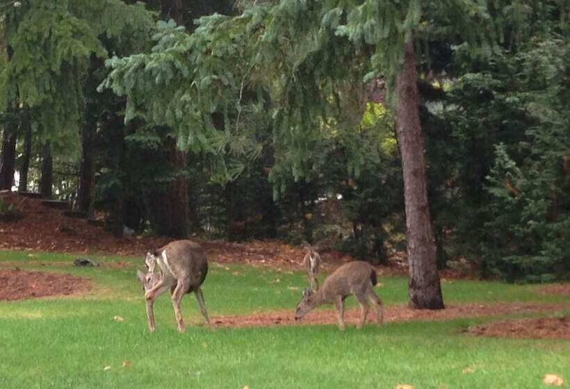 Maple View Bed And Breakfast
