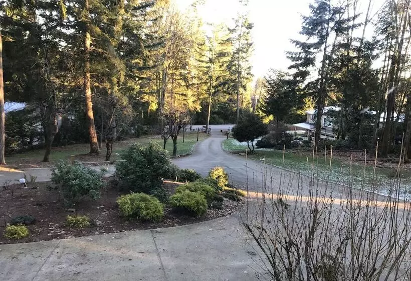 Maple View Bed And Breakfast