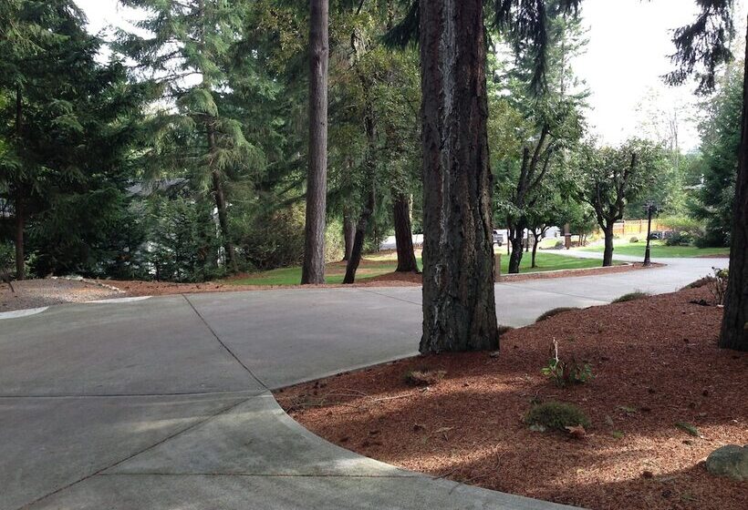 Maple View Bed And Breakfast