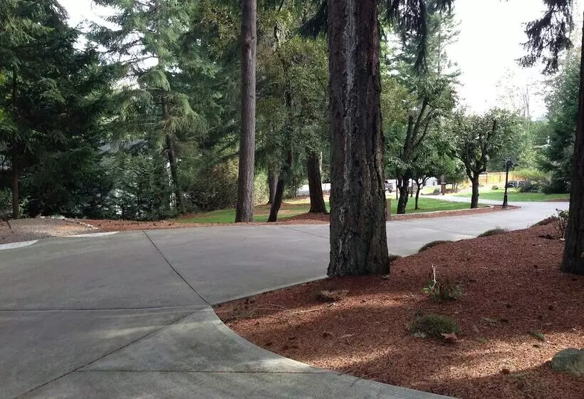 Maple View Bed And Breakfast