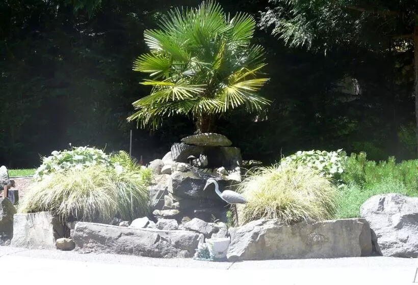 Maple View Bed And Breakfast