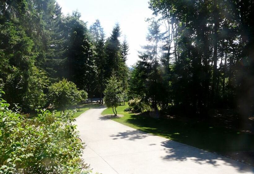 Maple View Bed And Breakfast