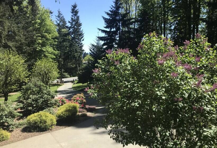 Maple View Bed And Breakfast