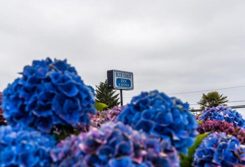 モーテル Blue Coast Inn & Suites